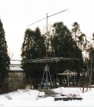 [My low VHF antennas.]